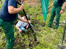 Baum pflanzen bei PLANT-MY-TREE Die Stiftung. 