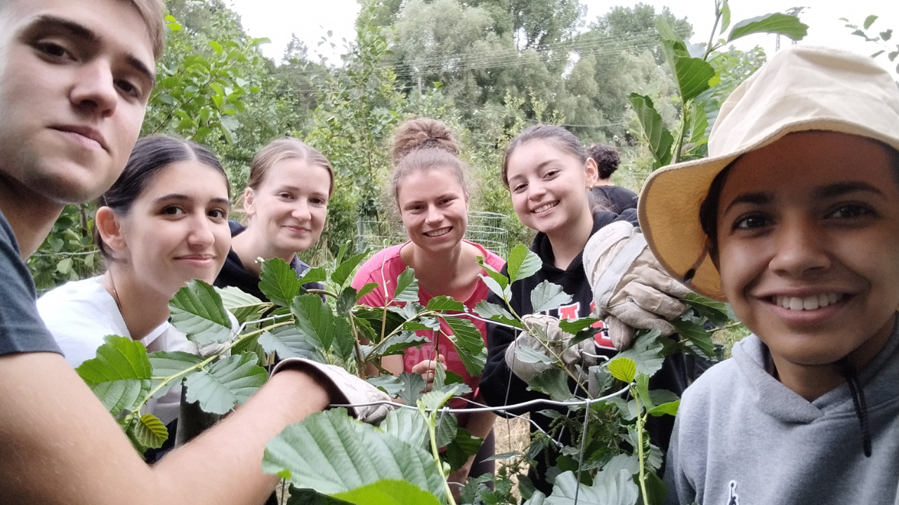 Internationale Jugendgemeinschaftsdienste - Workcamp