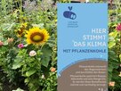 Mellifera - Klimabeet