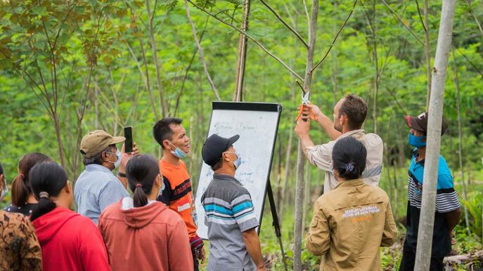 Fairventures Worldwide - Unterrichtseinheit zur Baumpflege