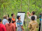 Fairventures Worldwide - Unterrichtseinheit zur Baumpflege
